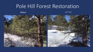 Pole Hill Project Before and After