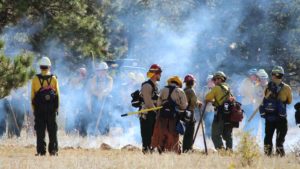 Fire crews managing a controlled burn at Elkhorn Creek
