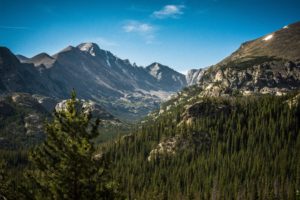 Healthy watersheds need healthy forests