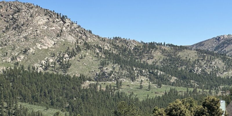 IMG_1964 IMG_1964